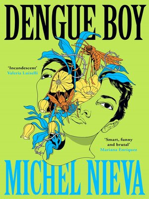 cover image of Dengue Boy